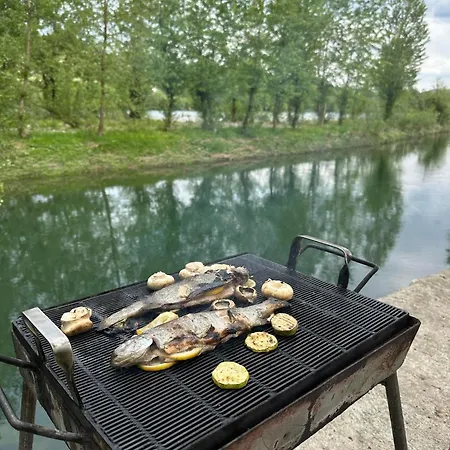 Ferienhaus Vikendica Djokanovic