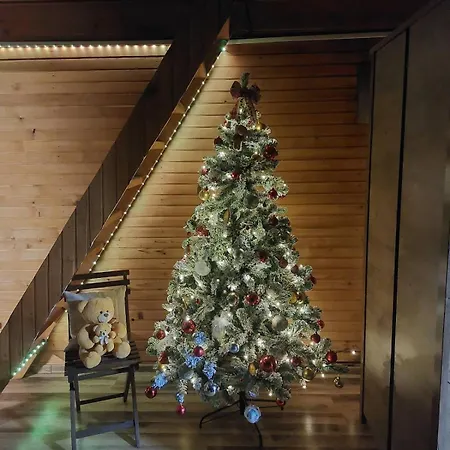 Ferienhaus Vikendica Djokanovic