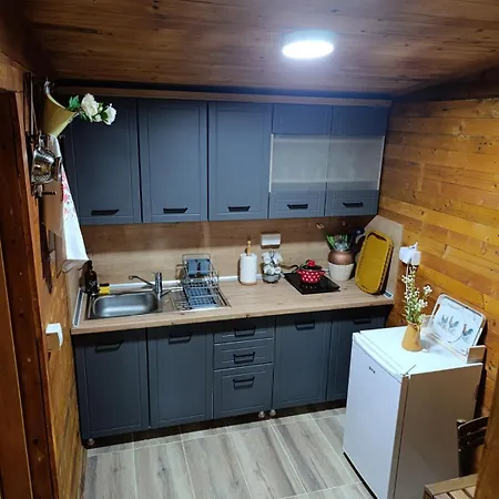 Ferienhaus Vikendica Djokanovic *